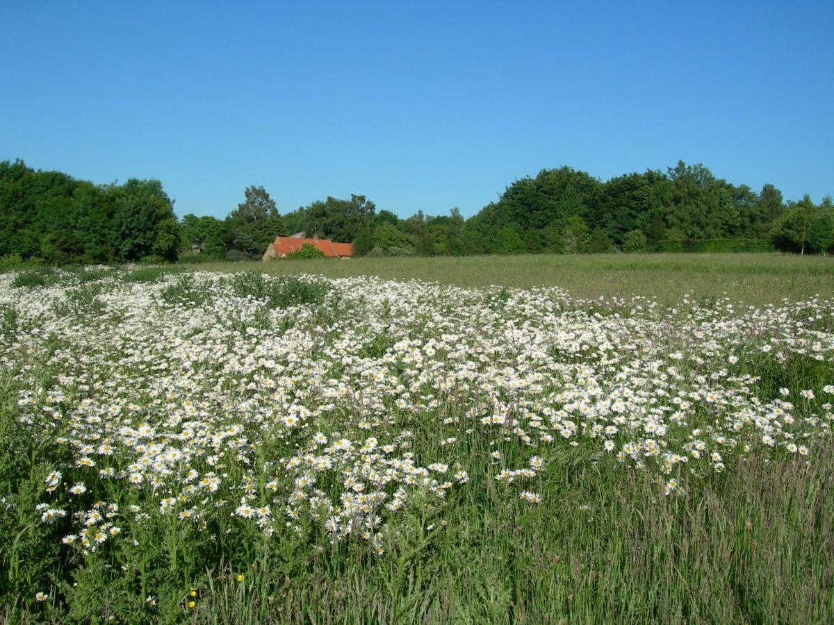 Heath Farm Holiday Cottages Swerford 外观 照片