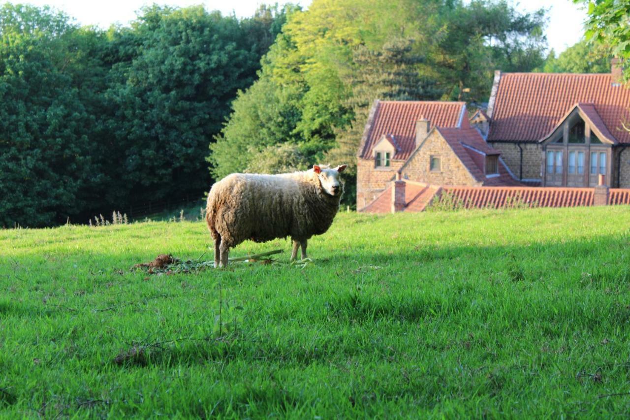 Heath Farm Holiday Cottages Swerford 外观 照片